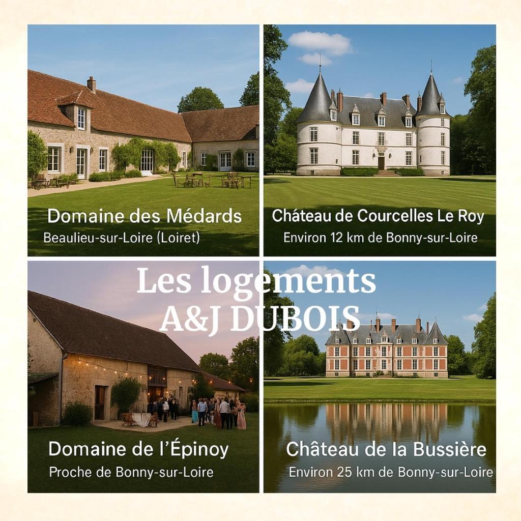 A&Jduplex - Bonny Sur Loire - Chateaux De Guedelon - Pont Canal エクステリア 写真